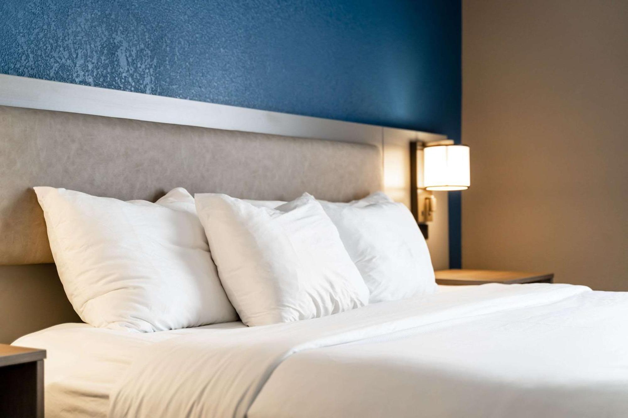 Comfort Suites Columbia Northeast - Fort Jackson Exteriör bild